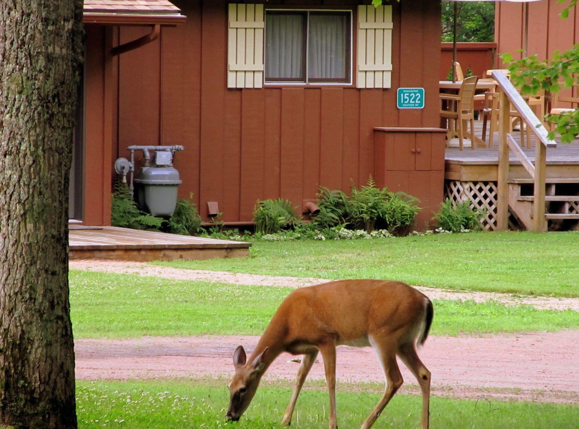 Lake Forest Resort Eagle River Eksteriør billede