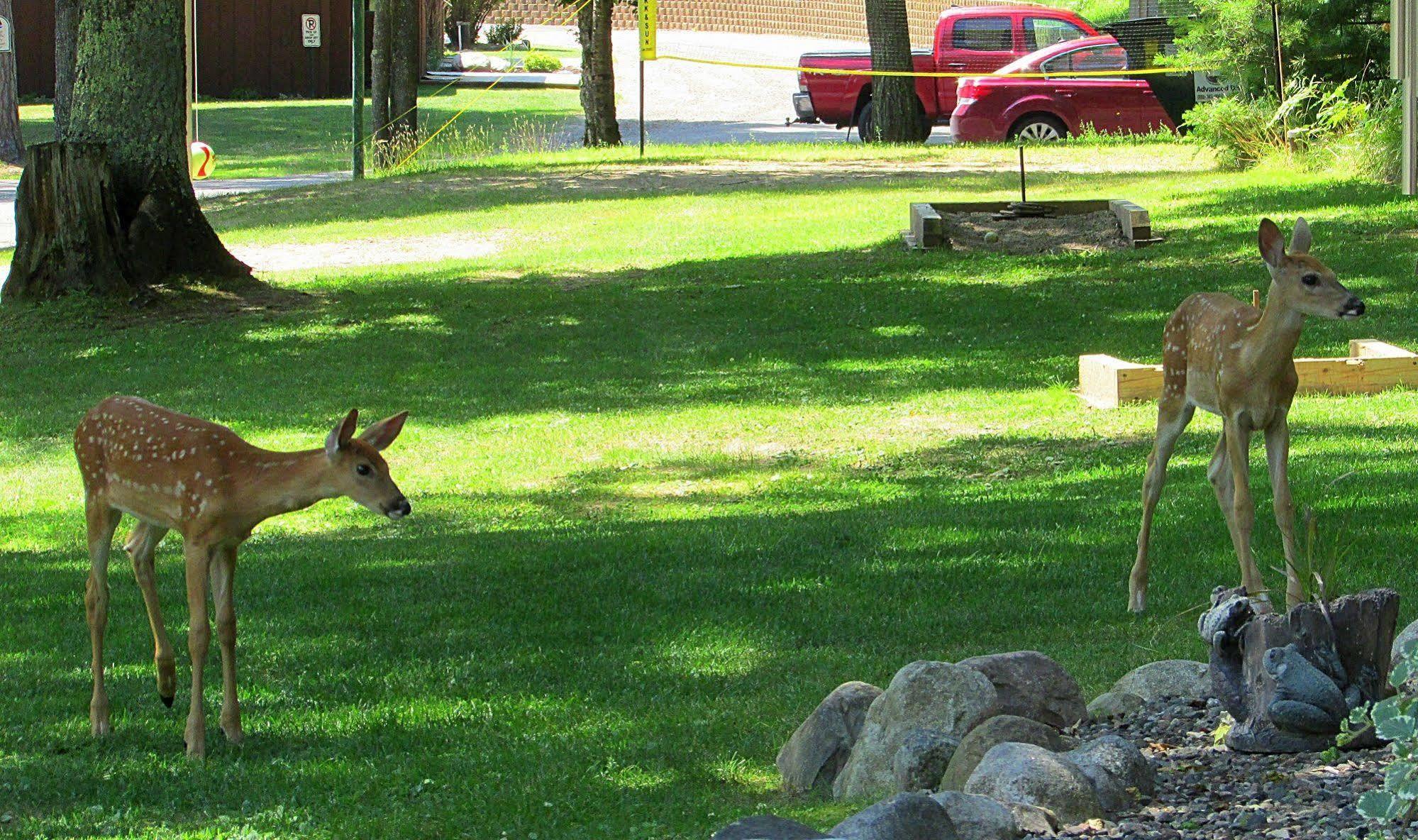 Lake Forest Resort Eagle River Eksteriør billede